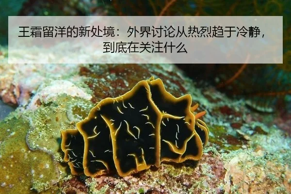 王霜留洋的新处境：外界讨论从热烈趋于冷静，到底在关注什么